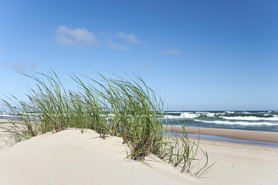 Elija Apartments Palanga Kültér fotó